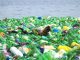 India must save itself from the plastic peril